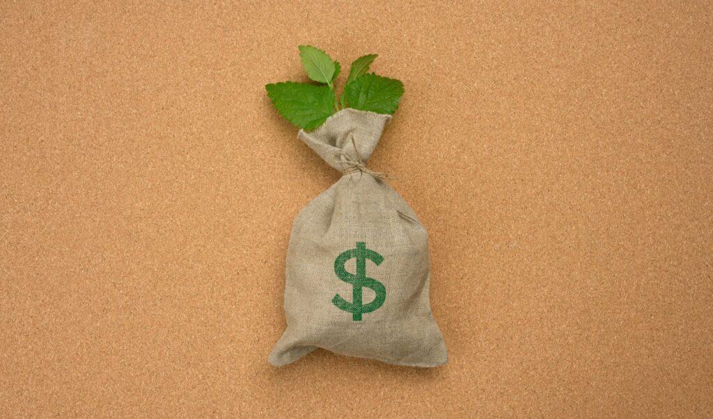 Full canvas bag and a sprig of a plant on a brown cork background